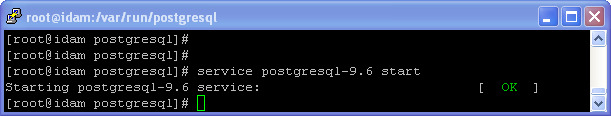 PostgreSQL installation on Linux (RPM) : start