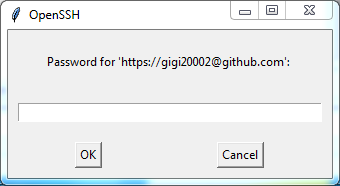 Push local Git repository to a remote Git repository / GitHub: password
