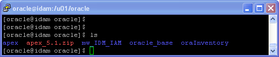 Oracle APEX 5.1 Installation on Linux - using HTTP Server (OHS): unzip apex file