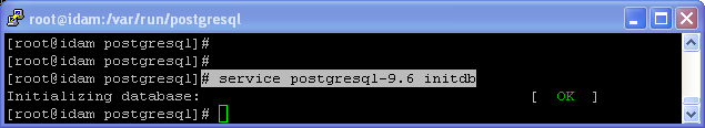 PostgreSQL installation on Linux (RPM) : initialization