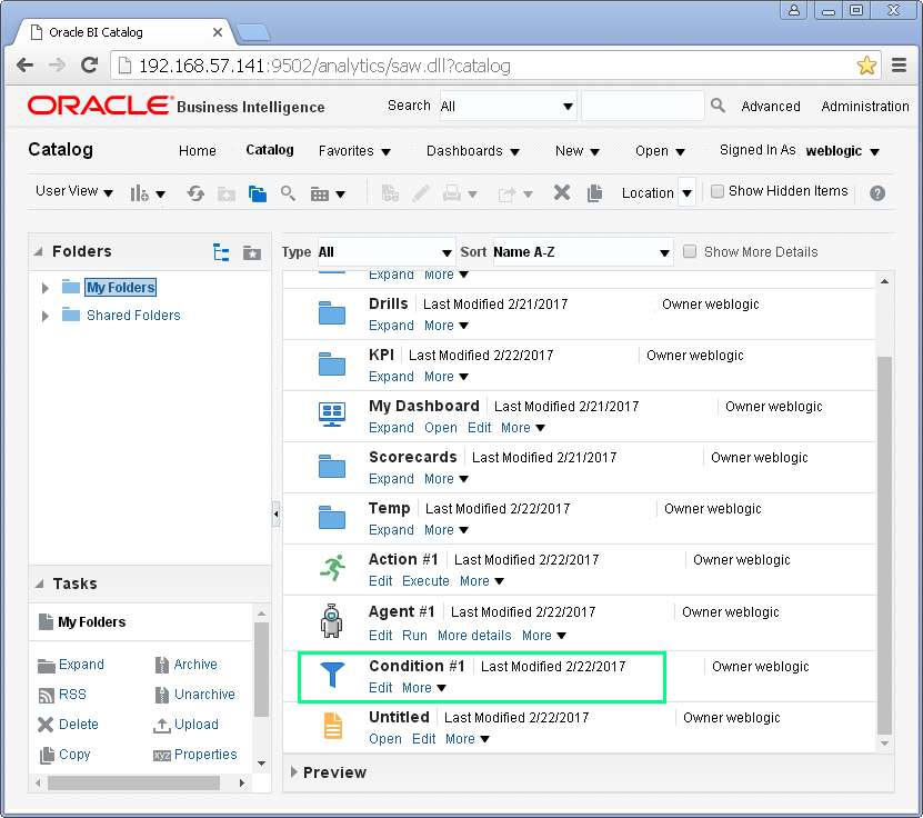 Create a Condition into Oracle BI Analytics: catalog