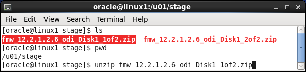 Install Oracle Data Integrator (ODI) 12c on Linux (CentOS, RedHat, OEL): unzip