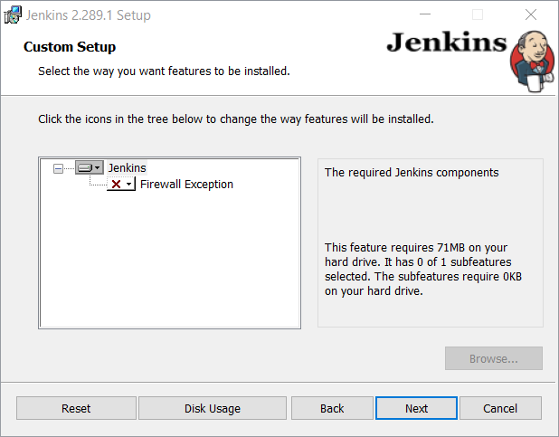Jenkins installation: custom setup
