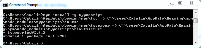 Setup Angular development environment (Angular installation): typescript update