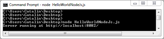 My first Hello World example in Node.js: Execute the file.