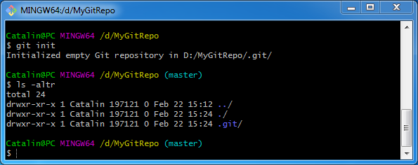 create Git repository using Git Bash: created