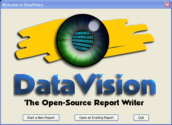 DataVision presentation: login screen