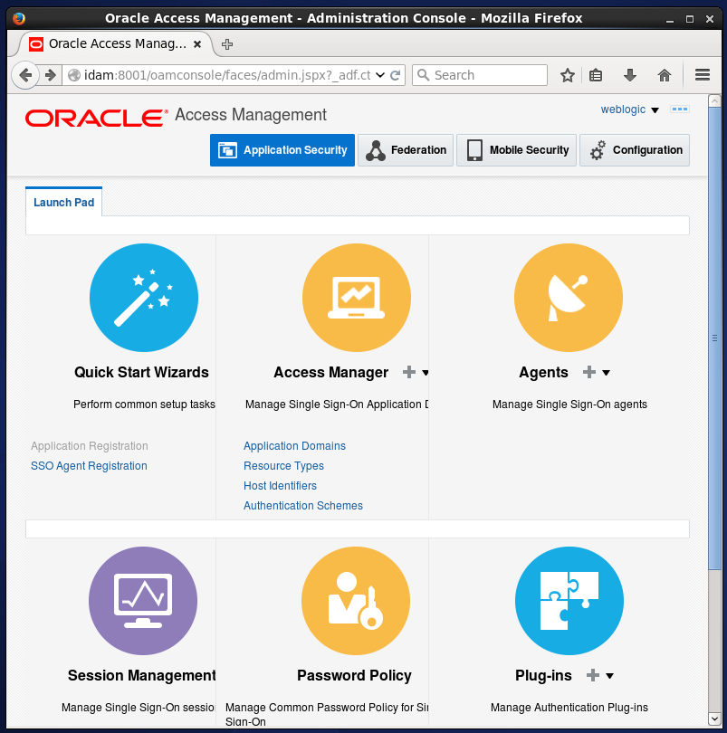 Create Oracle Access Manager (OAM) Application Domain: admin console