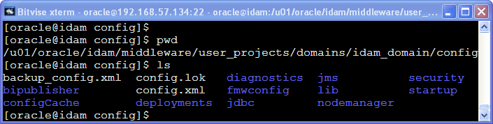 idam domain important files: config directory content 