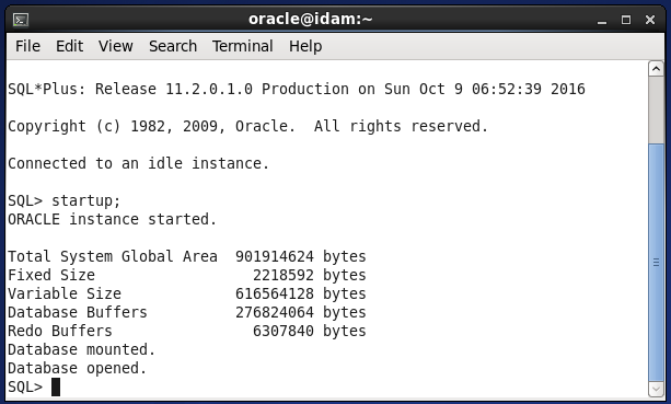 Start Oracle Internet Directory Services : start database instance