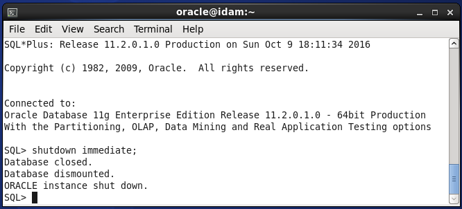 Stop Oracle Internet Directory Services : stop database instance 